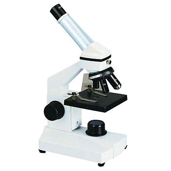que es el microscopio presentment