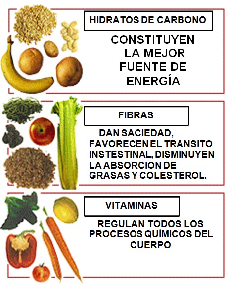 Concepto De Nutrientes Definicion En Deconceptos – Bilarasa