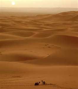 Concepto de duna
