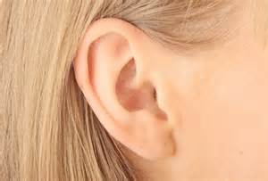 Concepto de oído