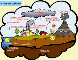 Concepto de carbono