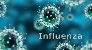 Concepto de influenza